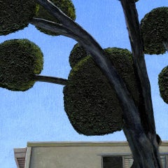 Leah Giberson "Palm Springs Poodle Cut" Realism Olive Tree Mid-Century Modern