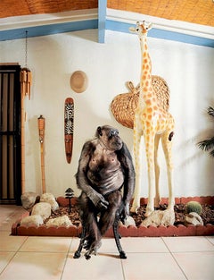 "Cheetah, Actor and Artist", James Schnepf Chimpanze Photograph Palm Springs