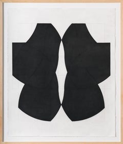Der schwarze Robe