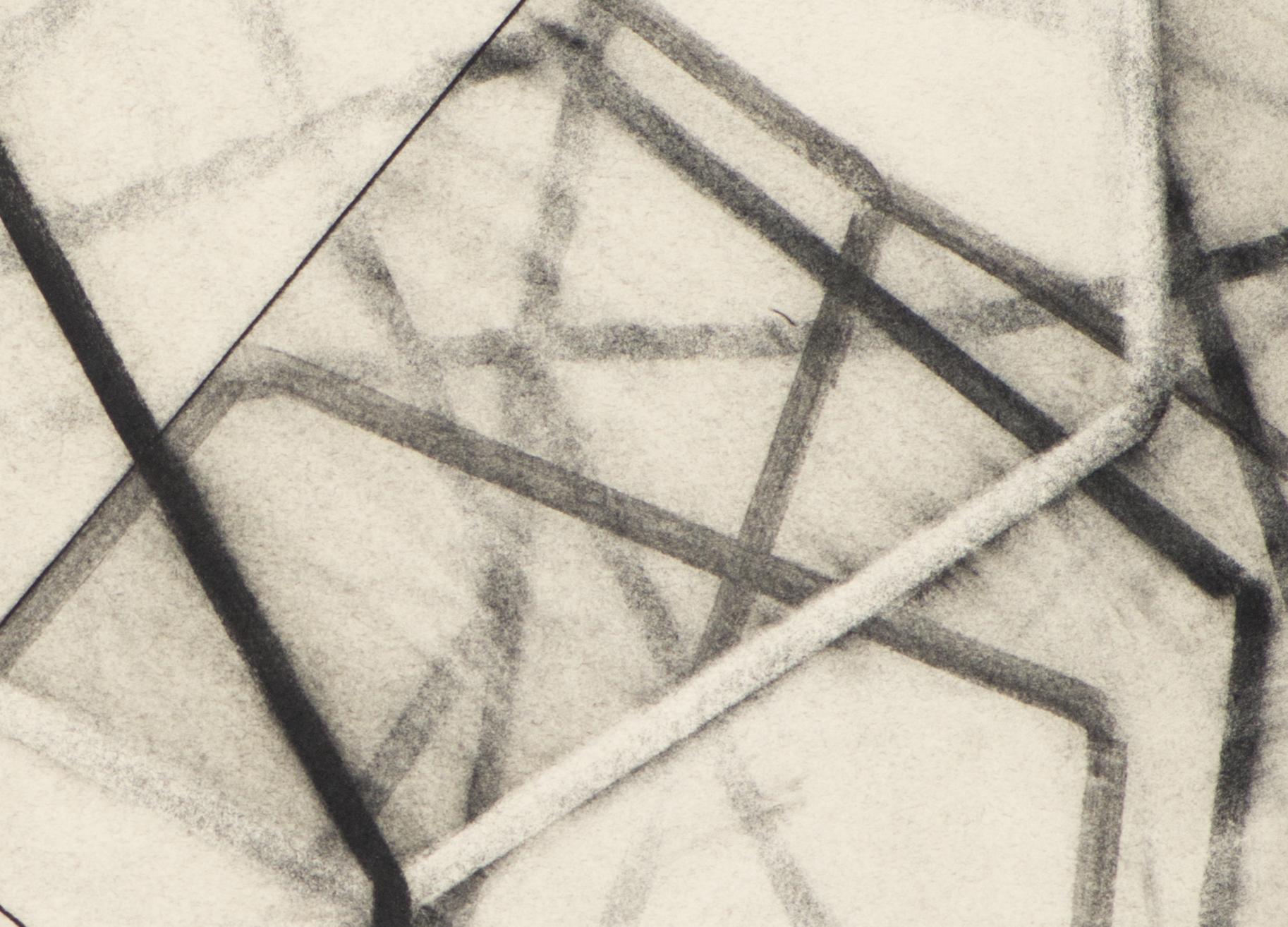 charcoal on paper

Mark Pomilio’s method, motives, and conceptual considerations are centered on visually articulating recent developments in the life sciences. It is not his intent to condemn or celebrate these developments, but rather, to express