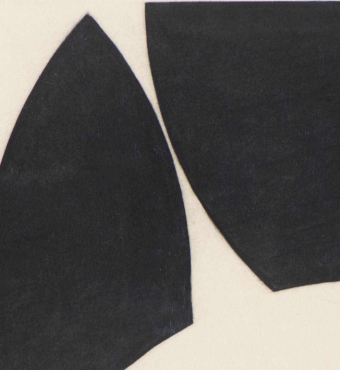 carboncino su carta

Il metodo, le motivazioni e le considerazioni concettuali di Mark Pomilio sono incentrate sull'articolazione visiva dei recenti sviluppi delle scienze della vita. Non è sua intenzione condannare o celebrare questi sviluppi, ma
