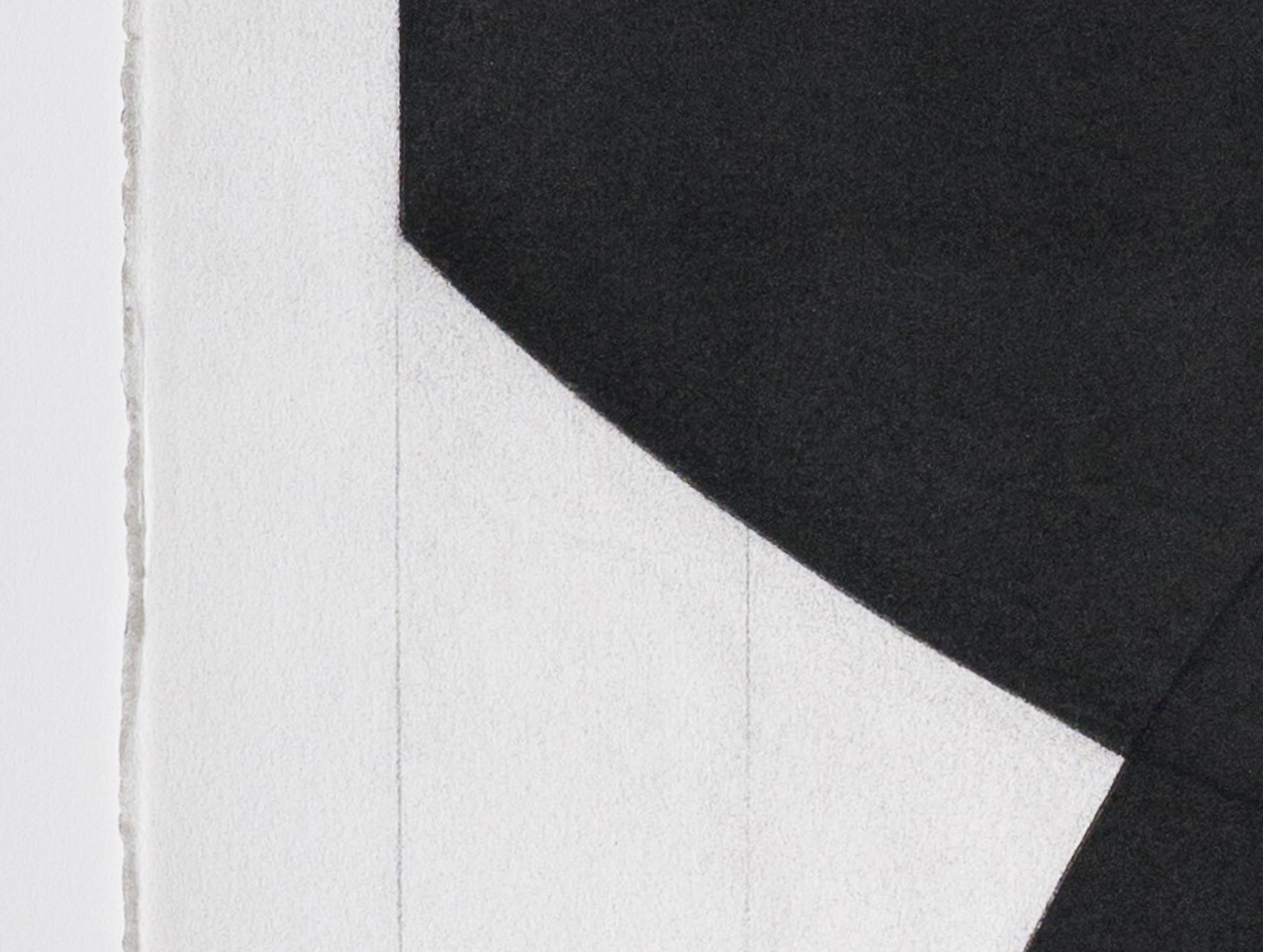 Der schwarze Robe – Art von Mark Pomilio