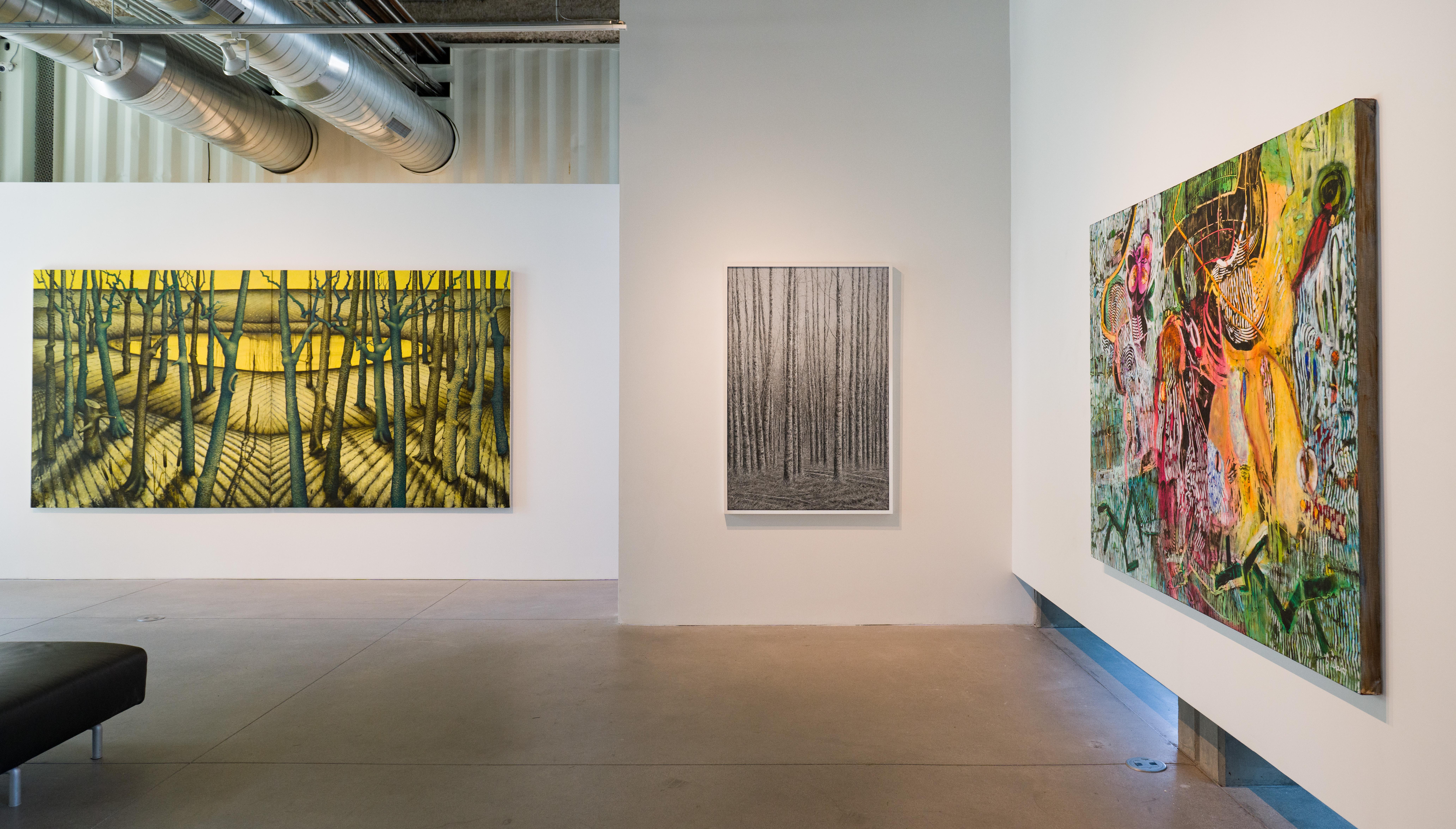 A Silver Birch - Territoire Art par Ellen Wagener
