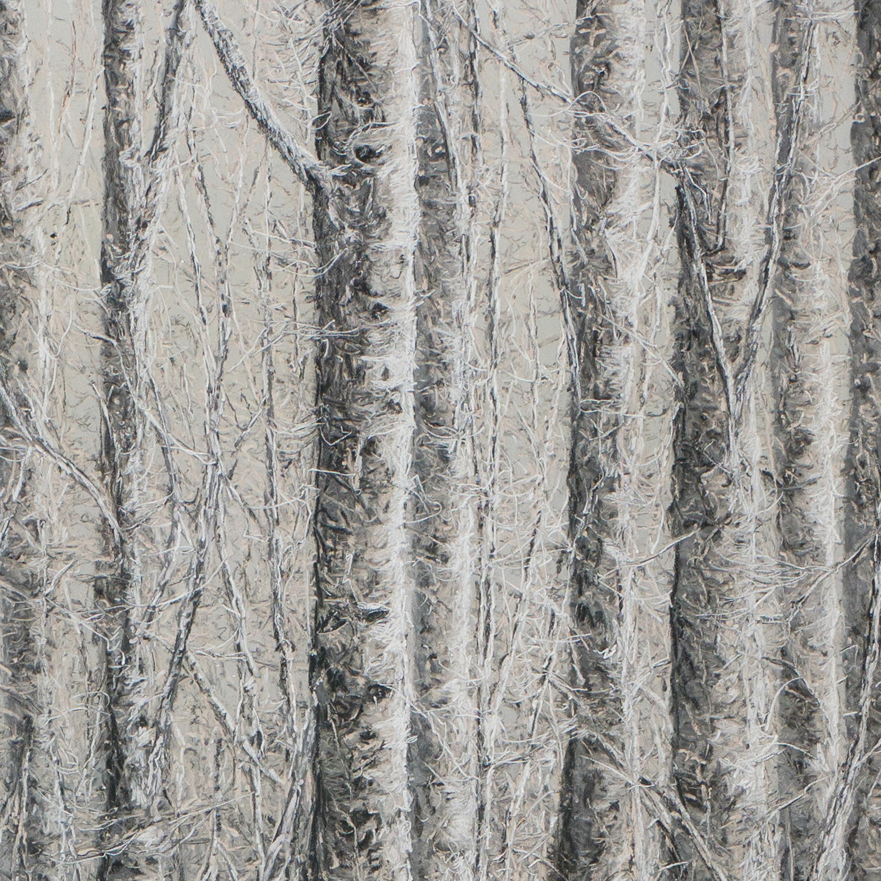 A Silver Birch en vente 3