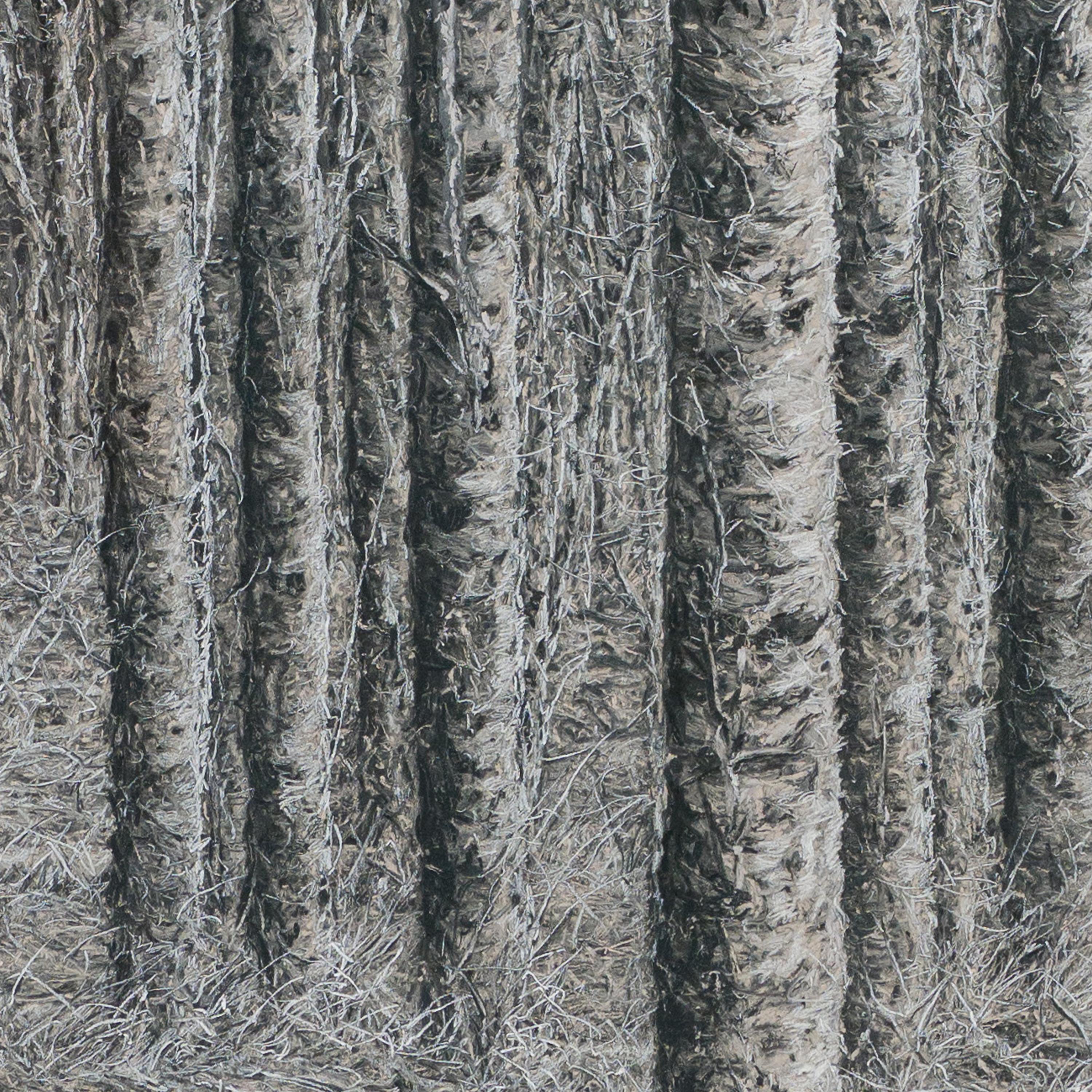 A Silver Birch - Argent Landscape Art par Ellen Wagener
