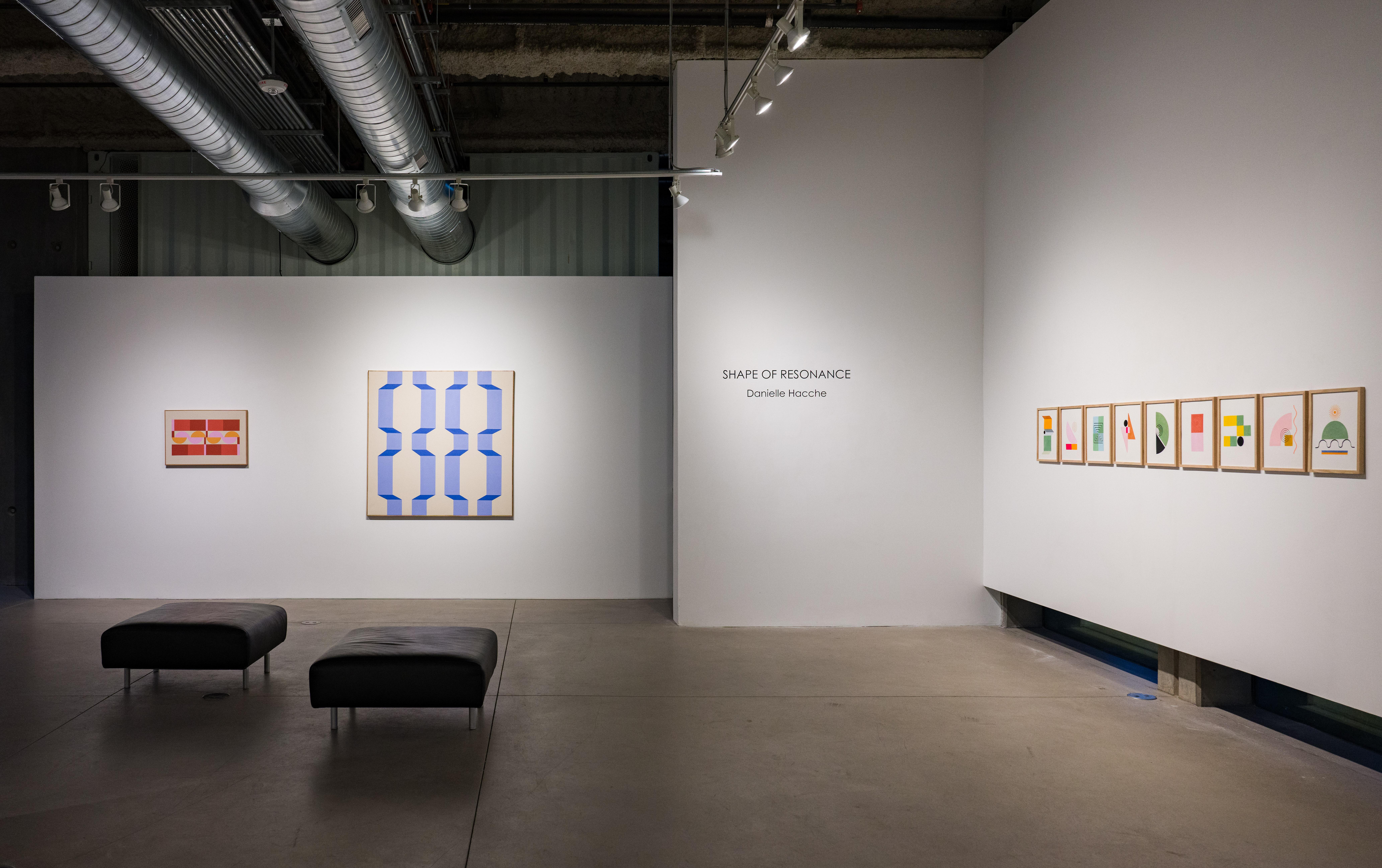 Shape of Resonance 19 For Sale 4