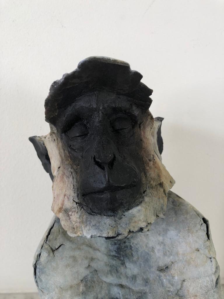 ''Sacred Langur'', Contemporary Bronze Sculpture of a Primate, Monkey 2