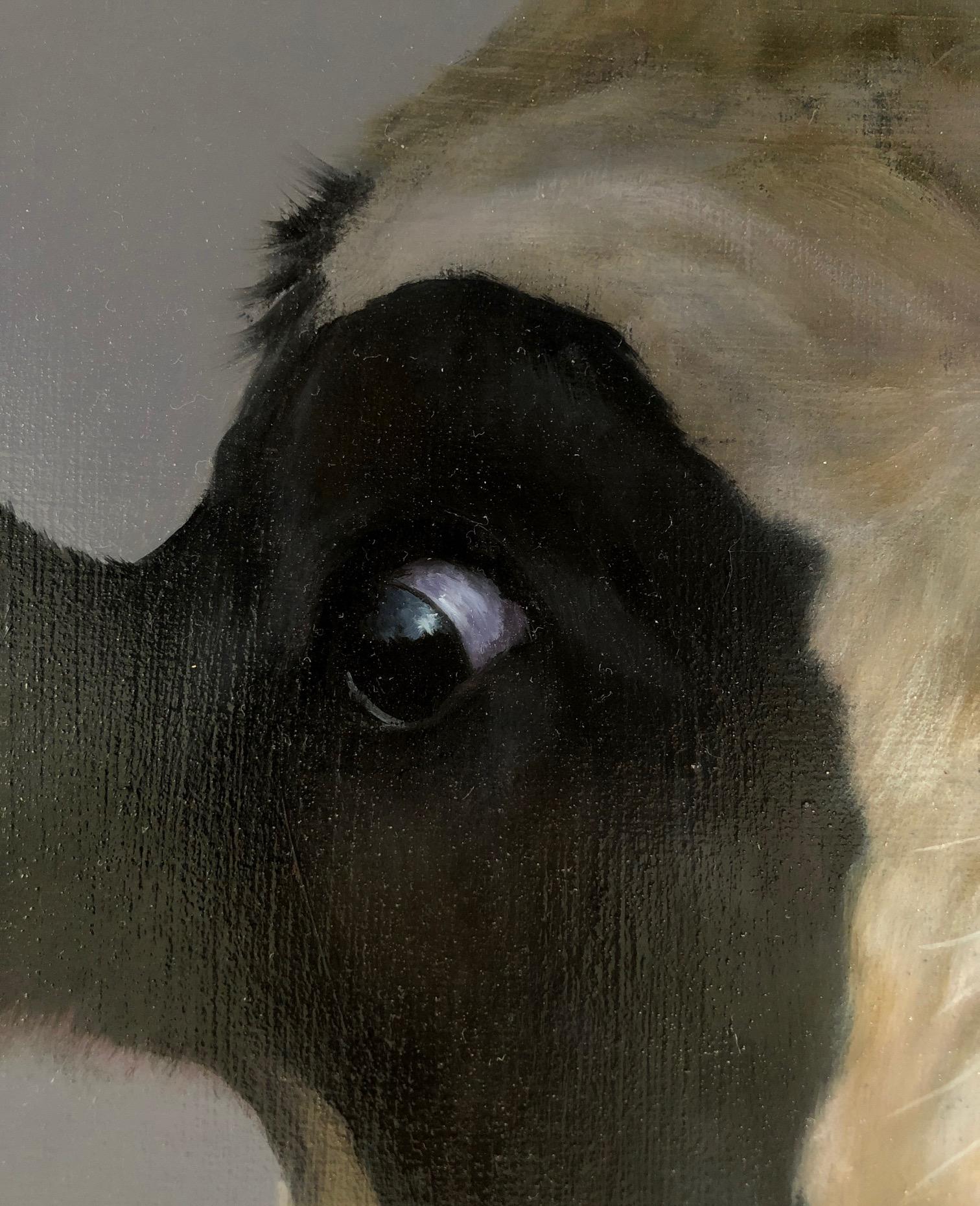 « Portrait de vache de Calf » - Peinture à l'huile contemporaine néerlandaise d'une vache en noir et blanc - Contemporain Painting par Paul Jansen