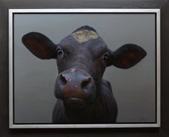 "Black calf 6" Contemporary Dutch Oil Painting of a Cow