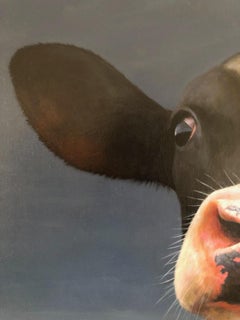 "Calf Portrait" Contemporary Dutch Oil Painting of a Cow