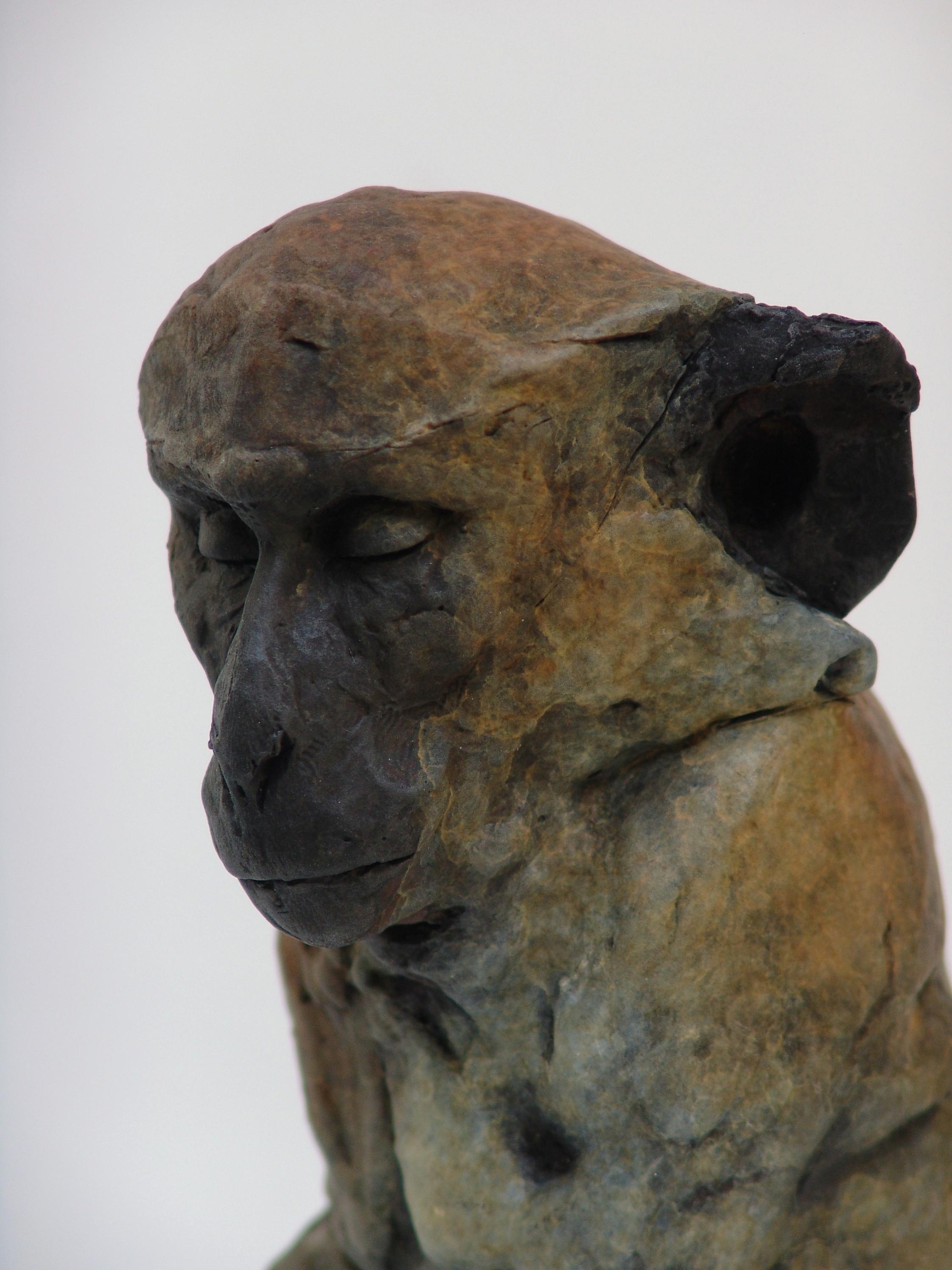''Monkey Sketch 1'', Contemporary Bronze Sculpture of a Primate, Monkey - Gold Figurative Sculpture by Nichola Theakston