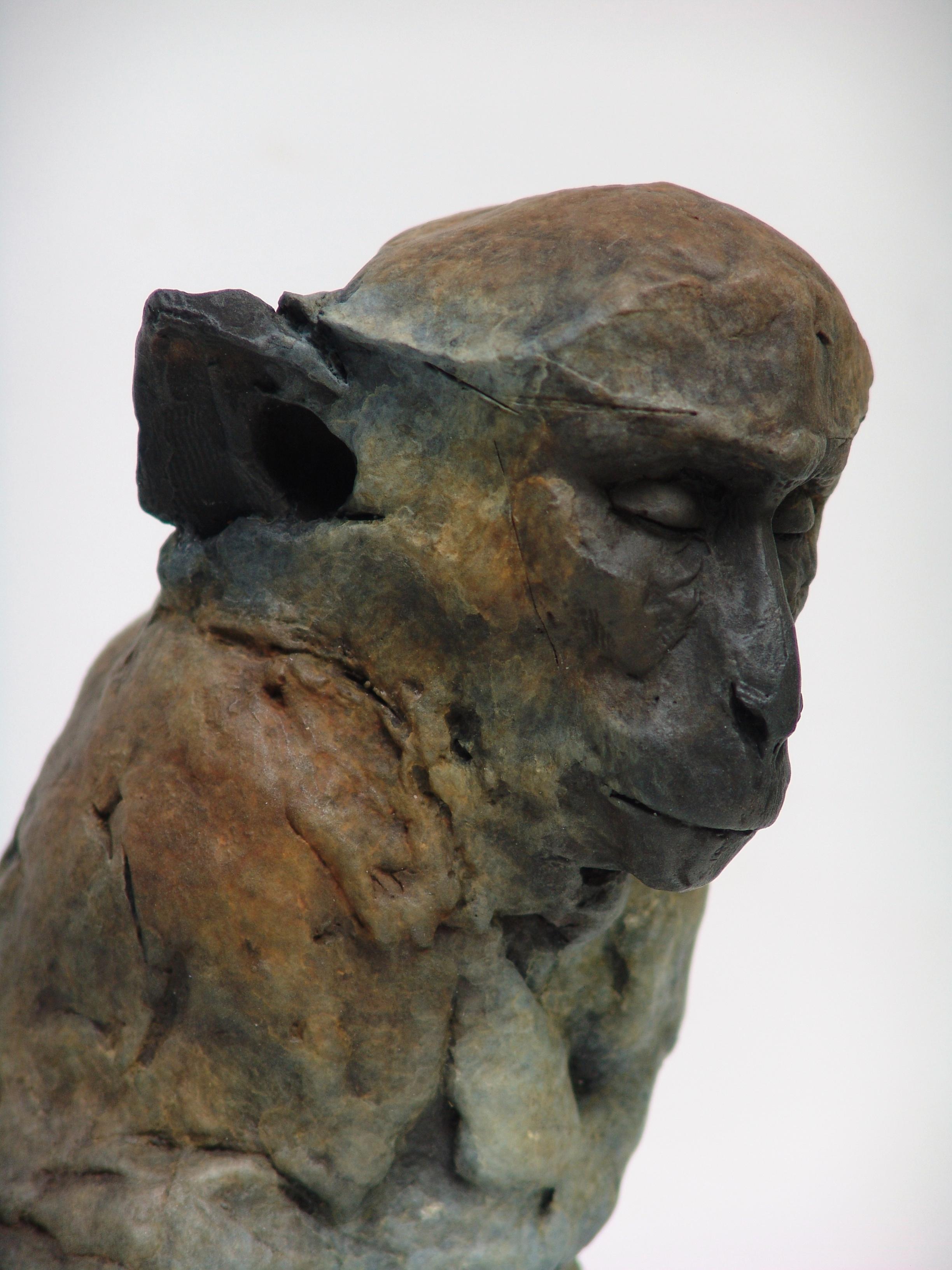 Nichola Theakston (1967) has established herself as one of the UK’s foremost contemporary sculptors working within the animal genre. 

Primates are Nichola's favorite subject. In her words: 'The notion that an individual creature may experience some