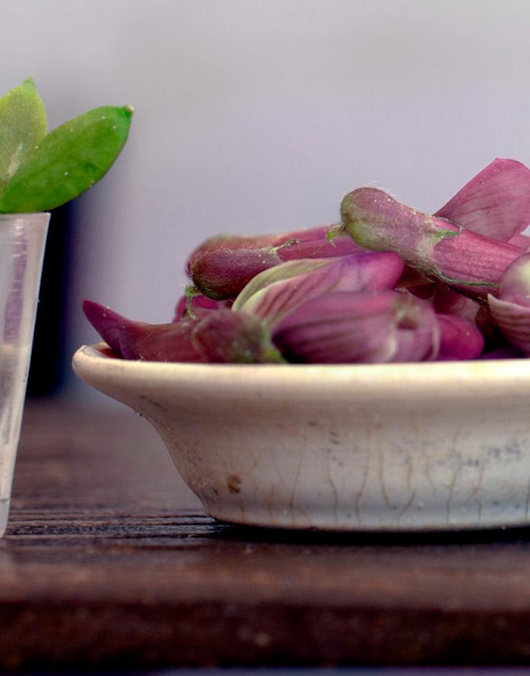 « Orquideas » - Nature morte contemporaine - Contemporain Photograph par Leticia Felgueroso