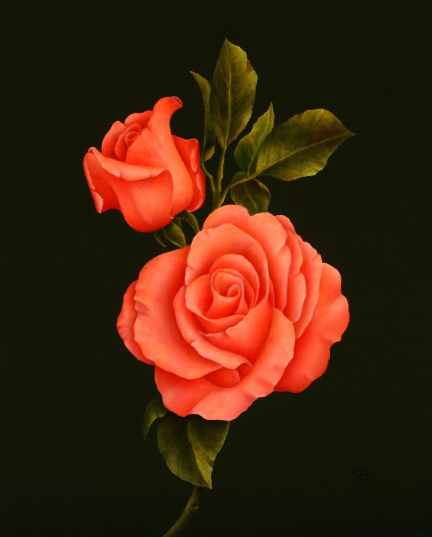 Still-Life Painting René Smoorenburg  - « Roses » - Peinture contemporaine néerlandaise de nature morte réaliste de roses 