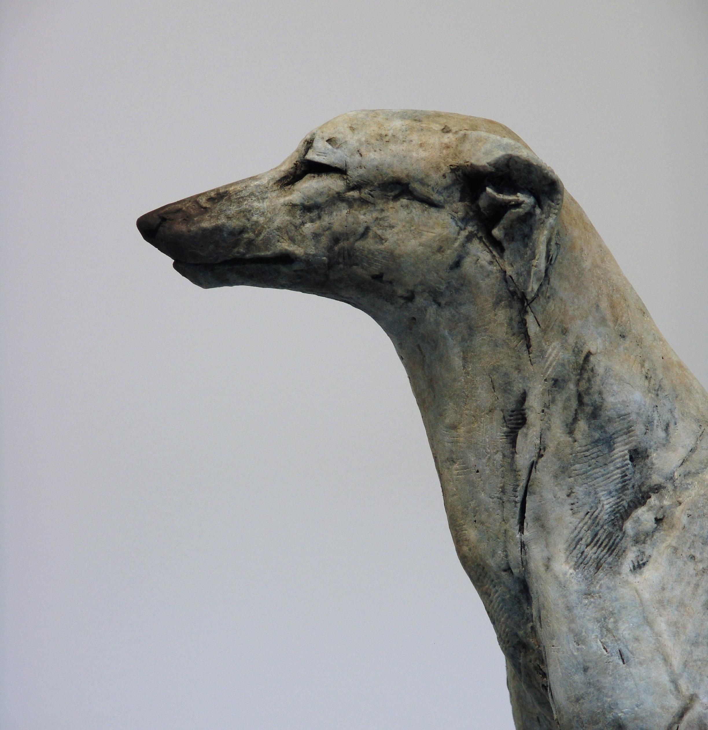 ''Sighthound'', Contemporary Bronze Sculpture Portrait of a Dog, Hound 2