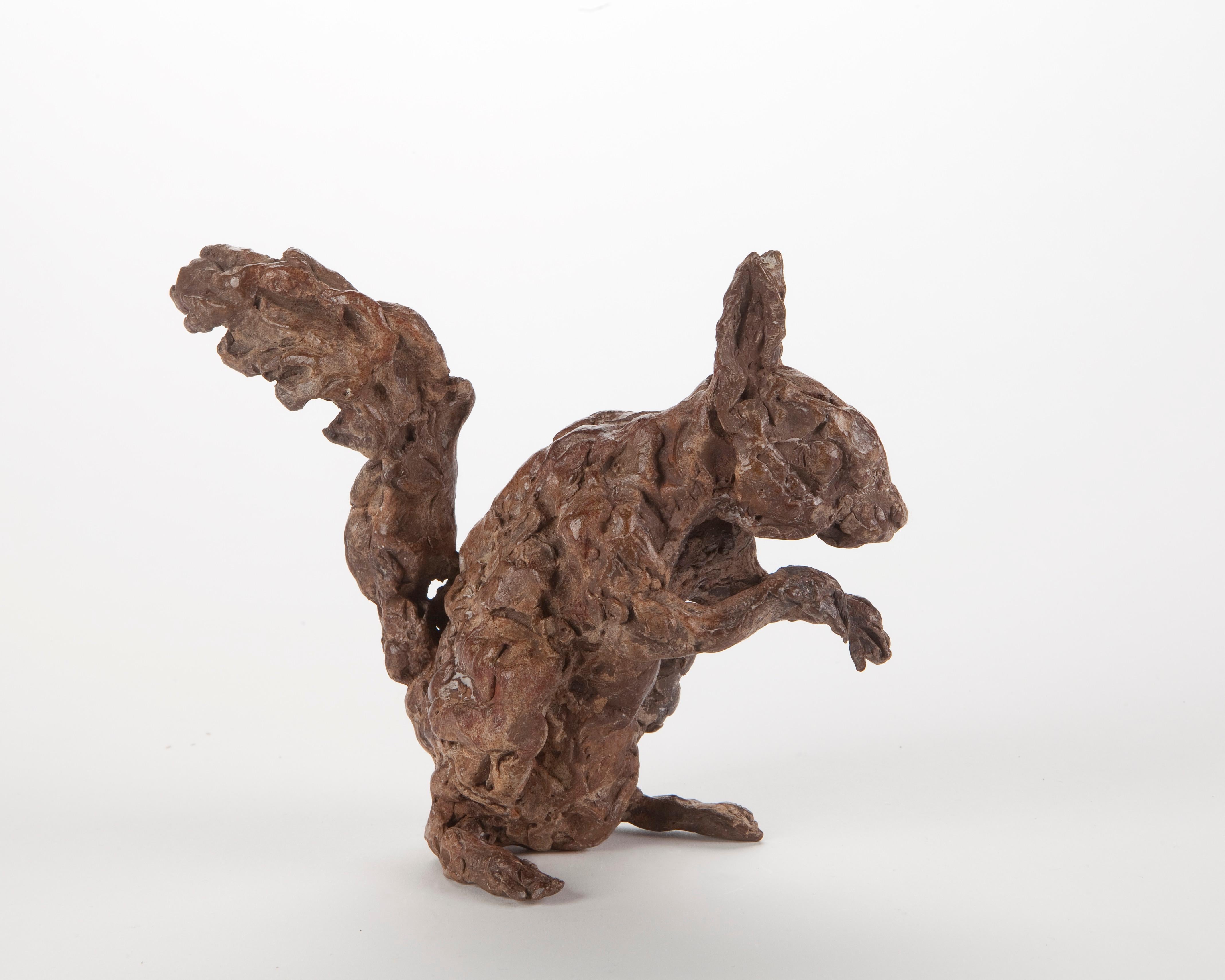 Ans Zondag Figurative Sculpture - ''American Squirrel'', Contemporary Bronze Sculpture Portrait of a Squirrel