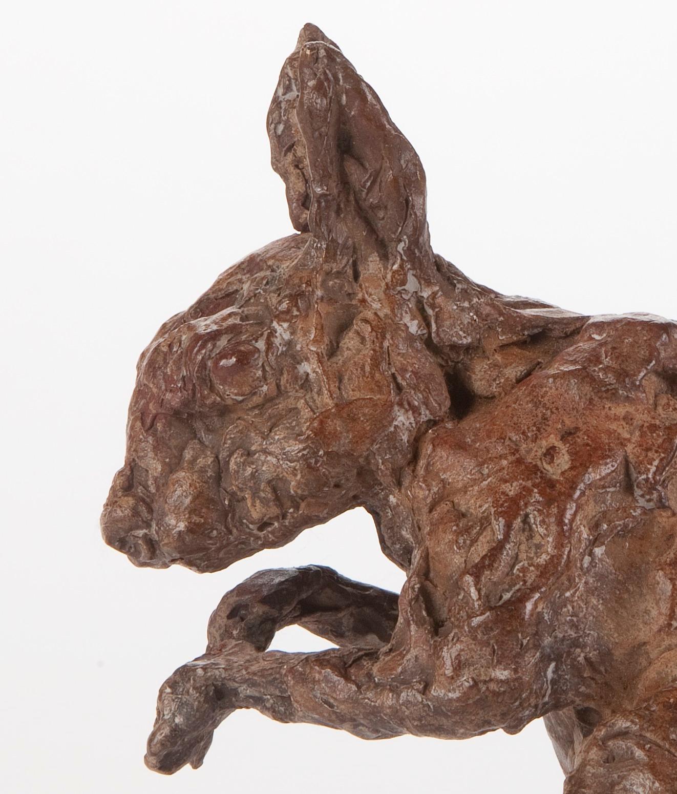 ''American Squirrel'', Contemporary Bronze Sculpture Portrait of a Squirrel - Gold Figurative Sculpture by Ans Zondag