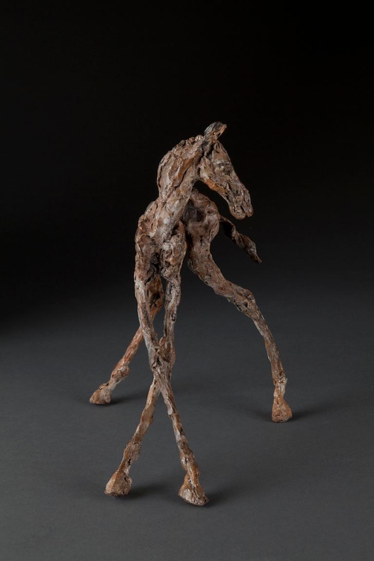 ''Turned Foal'', Contemporary Bronze Sculpture Portrait of a Horse 2