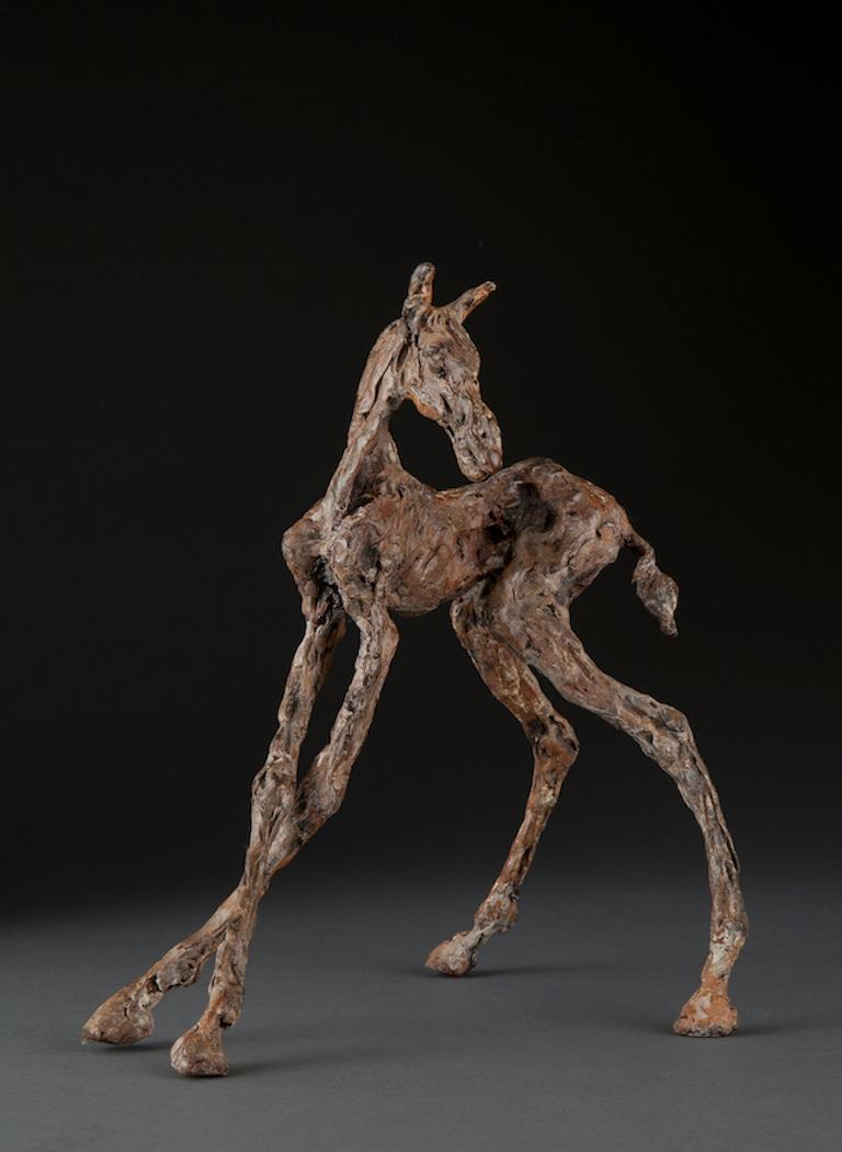 ''Turned Foal'', Contemporary Bronze Sculpture Portrait of a Horse 1