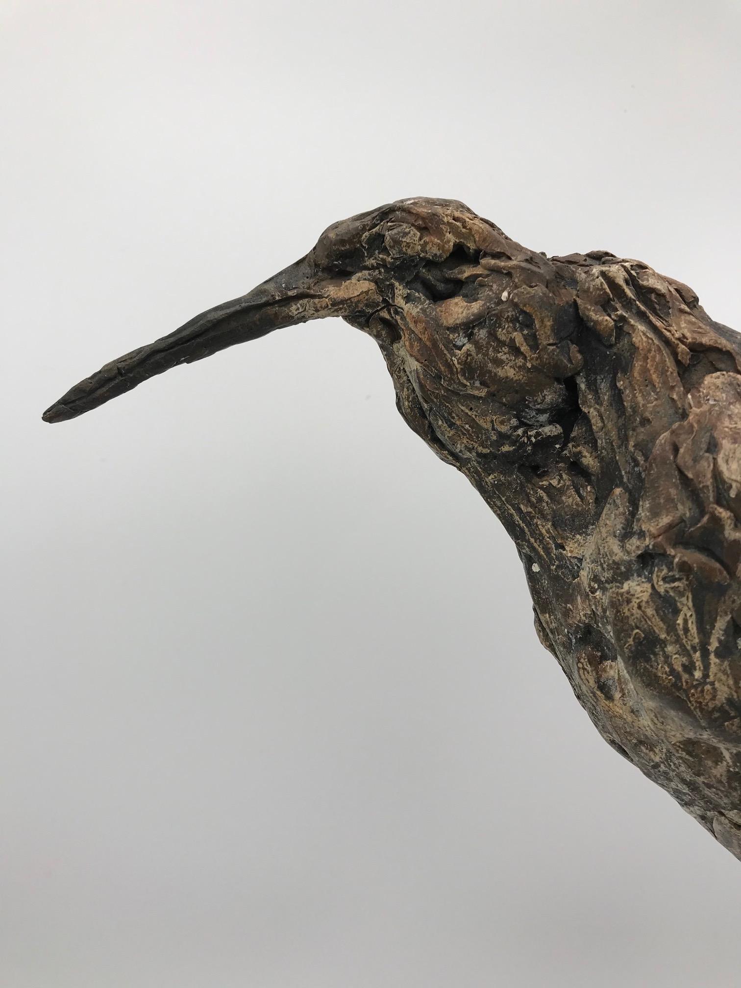 ''Peer Bird'', Contemporary Bronze Sculpture Portrait of a Bird 1