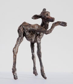 ''Deer'', Contemporary Bronze Sculpture Portrait of a young deer, fawn