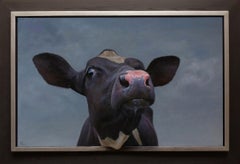 "Hi there! 2" Contemporary Dutch Oil Painting of a Cow