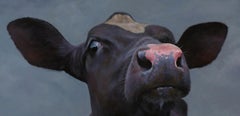 "Hi there! 2" Contemporary Dutch Oil Painting of a Cow