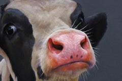 "Calf Portrait 80" Contemporary Dutch Oil Painting of a Black and White Cow