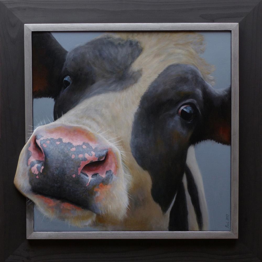 "Calf Portrait" Contemporary Dutch Oil Painting of a Cow