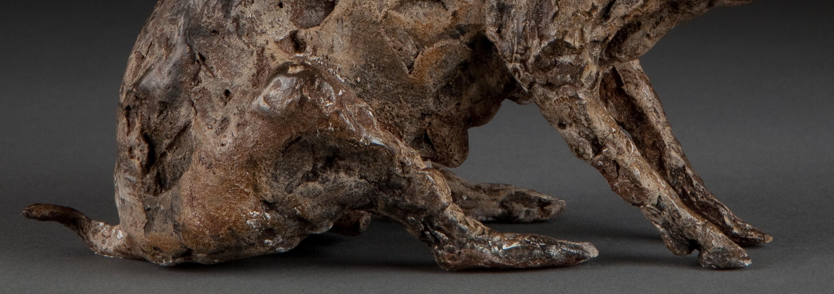''Cerda Sentada'', Escultura Contemporánea de Bronce Retrato de una Cerda, Cerdo en venta 5