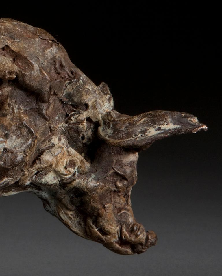 ''Jabalí'', Escultura contemporánea de bronce Retrato de un jabalí, Cerdo en venta 1