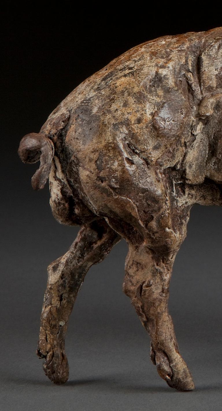 ''Boar'', Contemporary Bronze Sculpture Portrait of a Boar, Pig For Sale 4