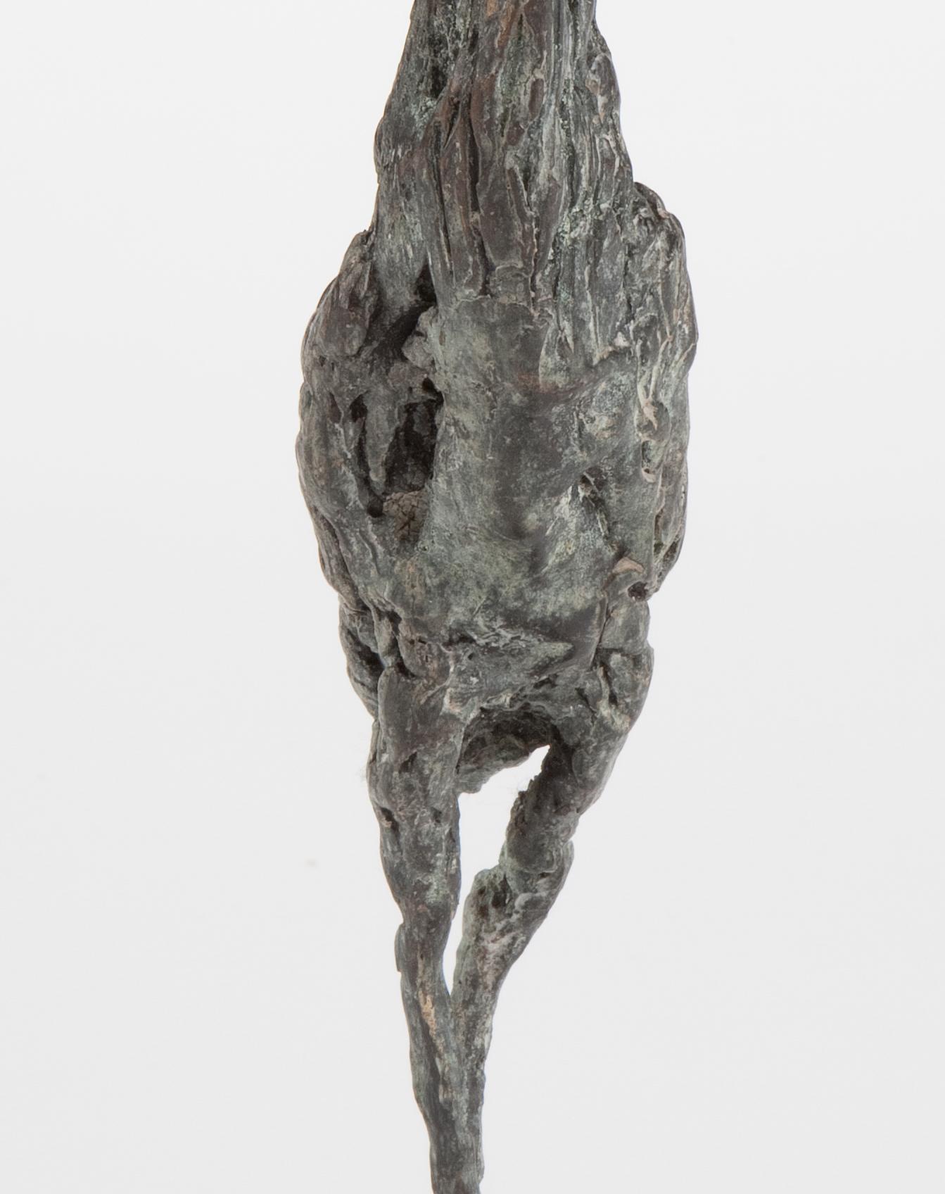 ''Grey Heron'', Contemporary Bronze Sculpture Portrait of a Bird 2