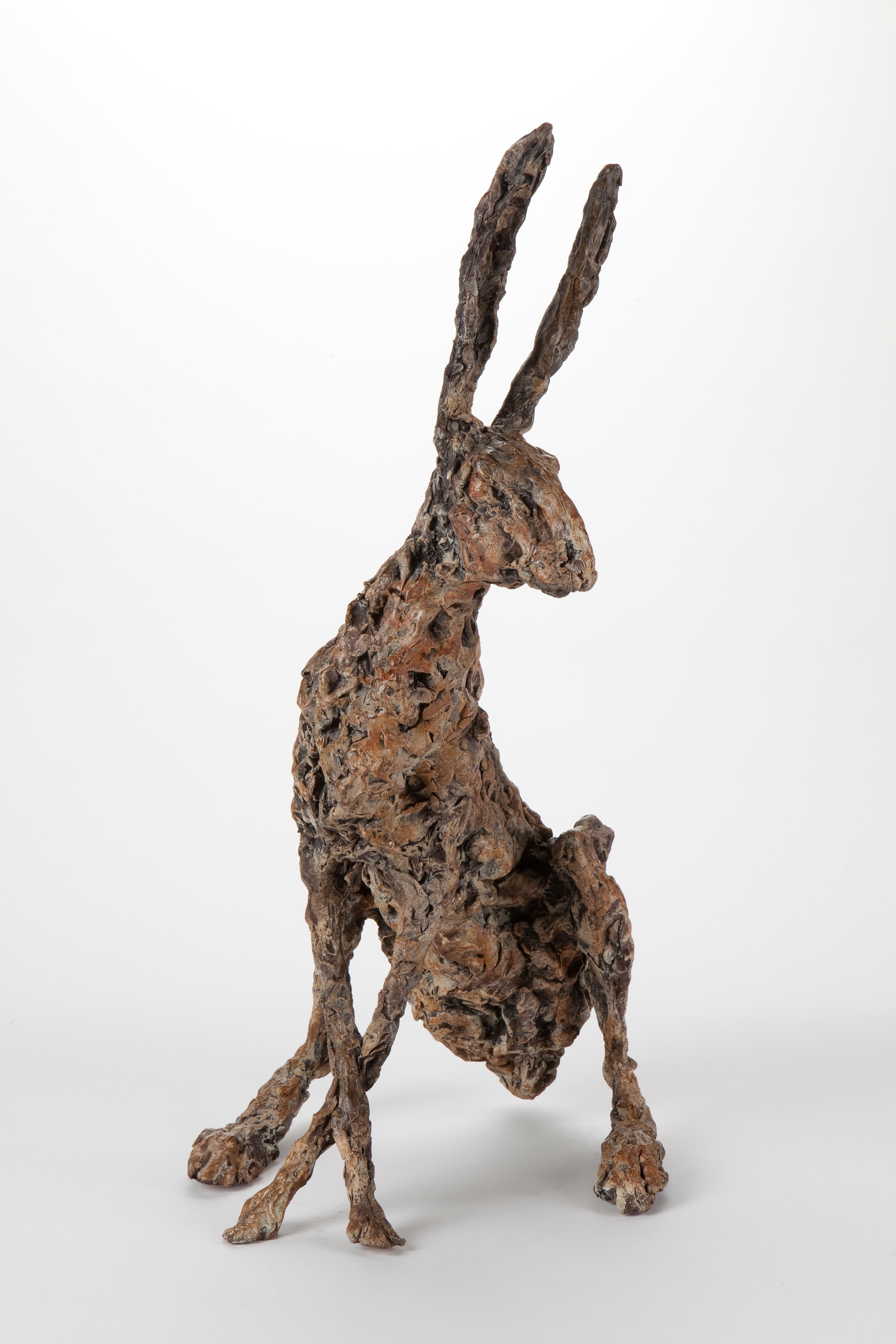 ''Hare Ecoutez'', Contemporary Bronze Sculpture Portrait of a Hare 1