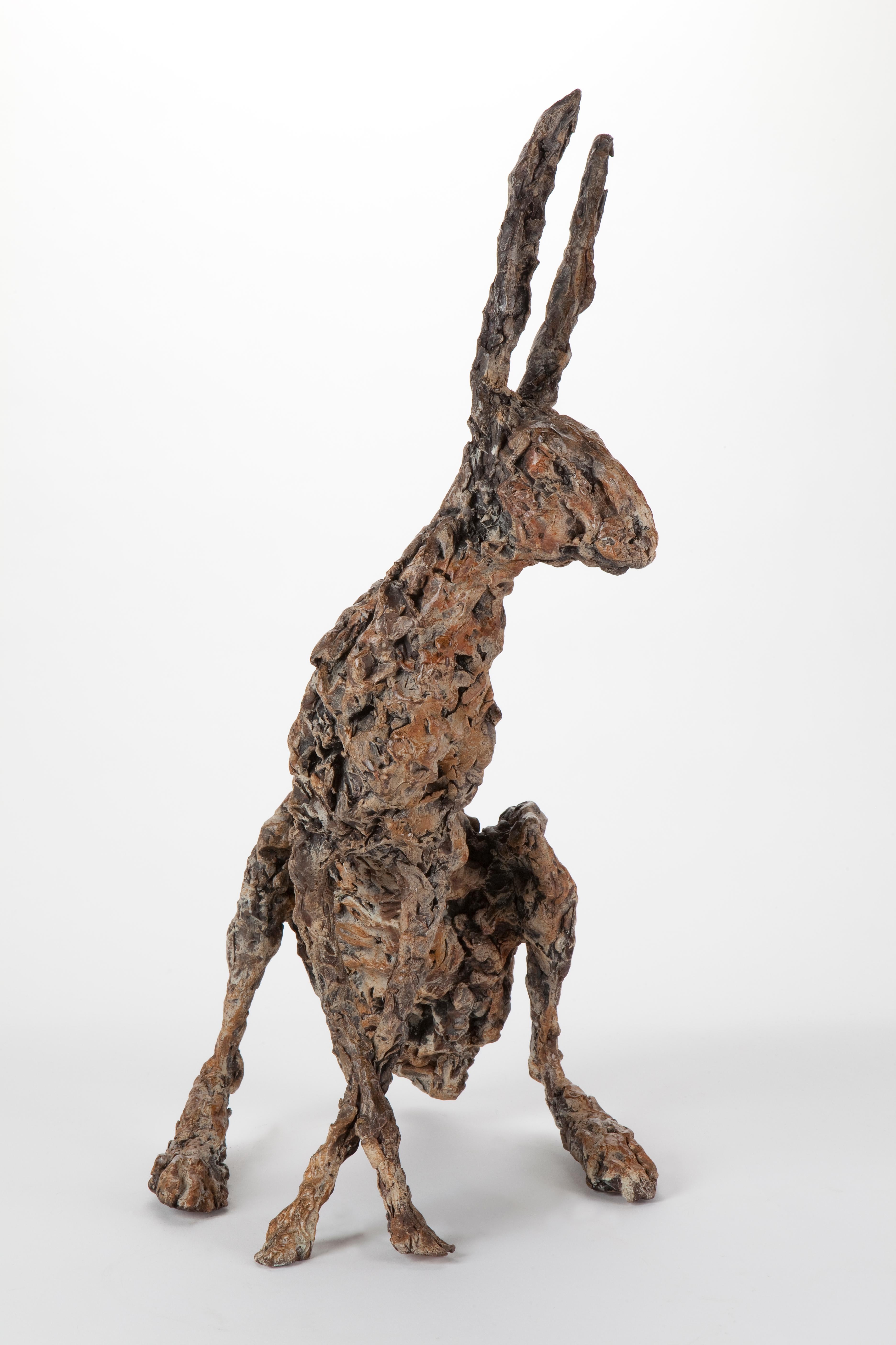 ''Hare Ecoutez'', Contemporary Bronze Sculpture Portrait of a Hare 2