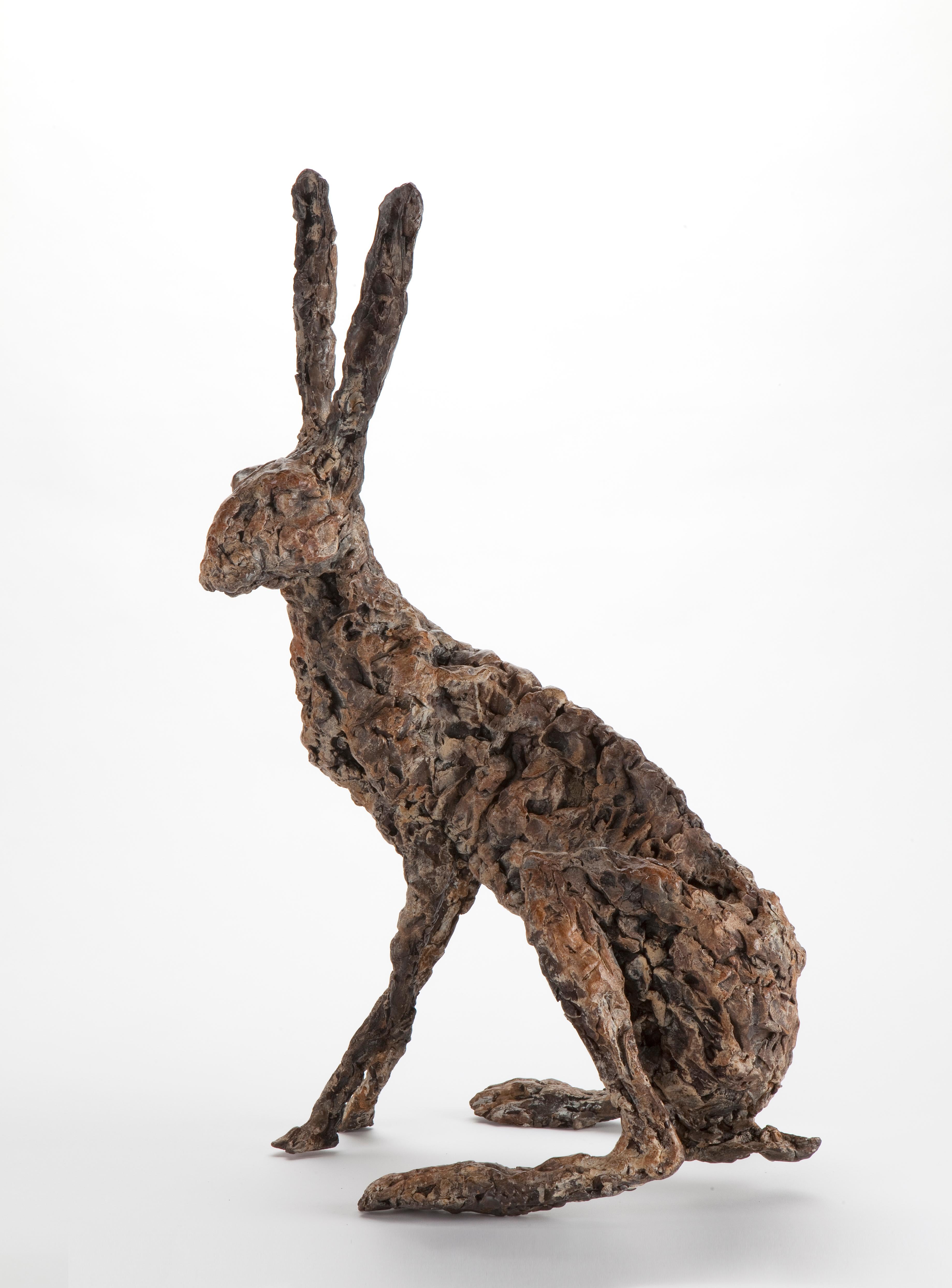 ''Hare Ecoutez'', Contemporary Bronze Sculpture Portrait of a Hare 4