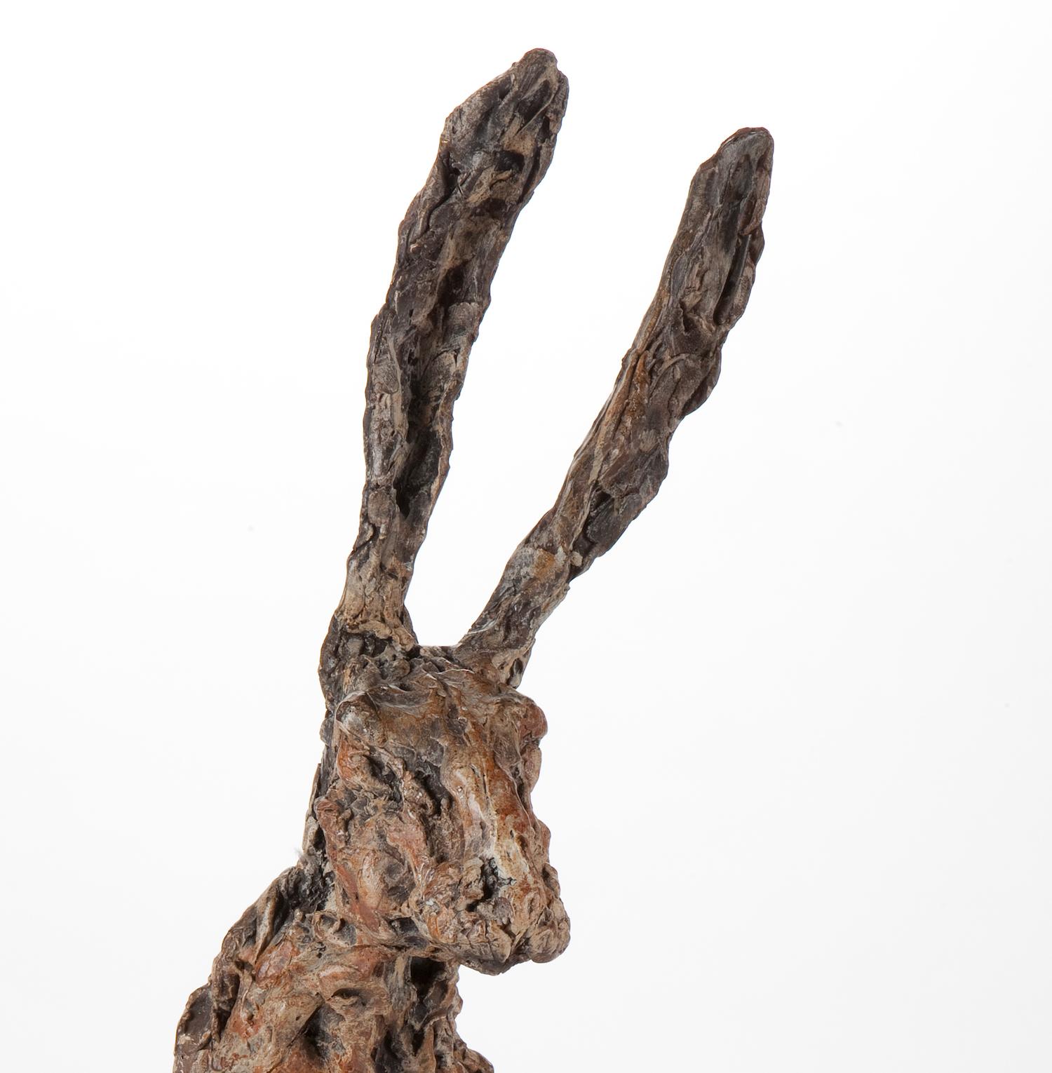 ''Hare Ecoutez'', Contemporary Bronze Sculpture Portrait of a Hare 5