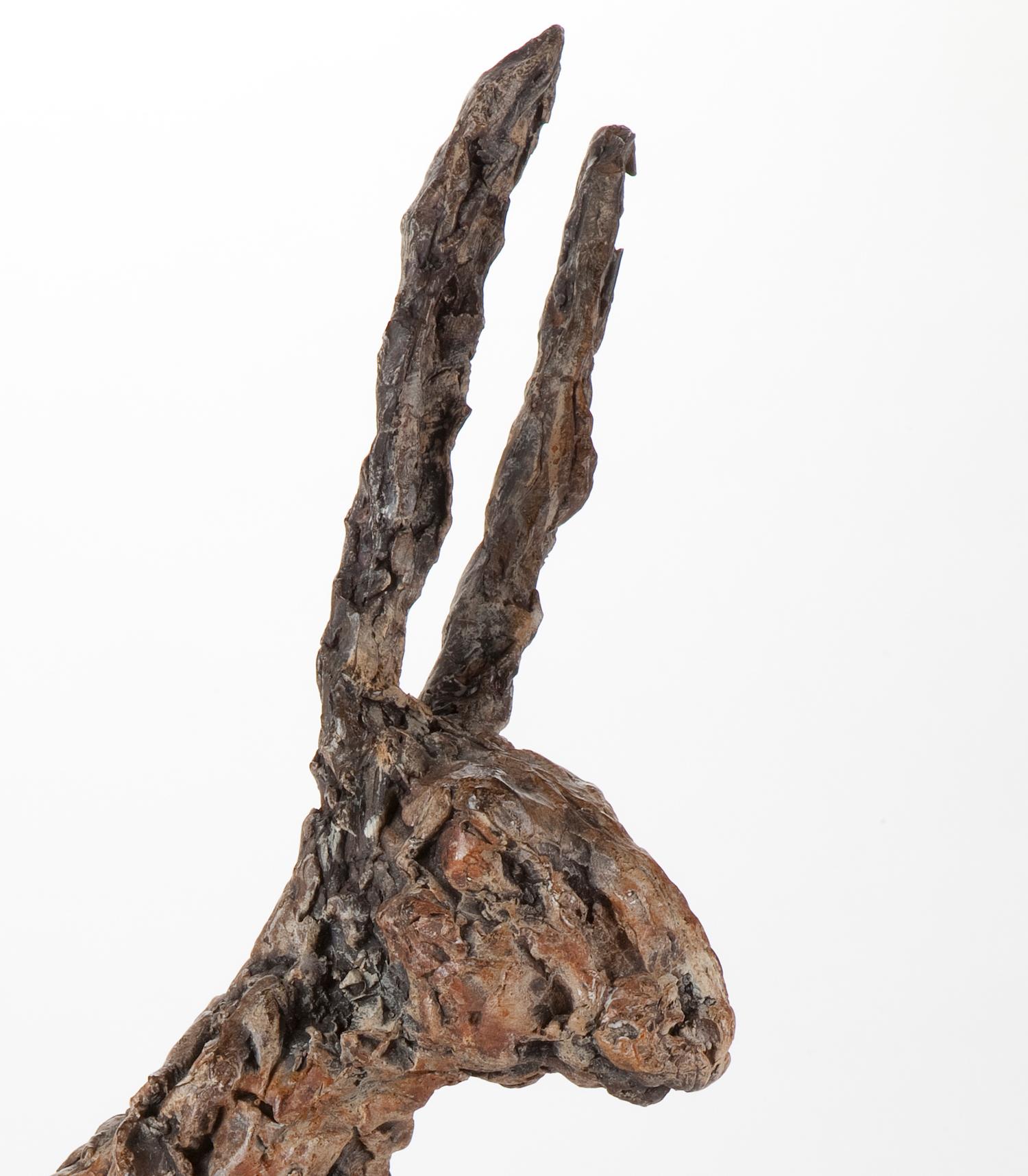 ''Hare Ecoutez'', Contemporary Bronze Sculpture Portrait of a Hare 6