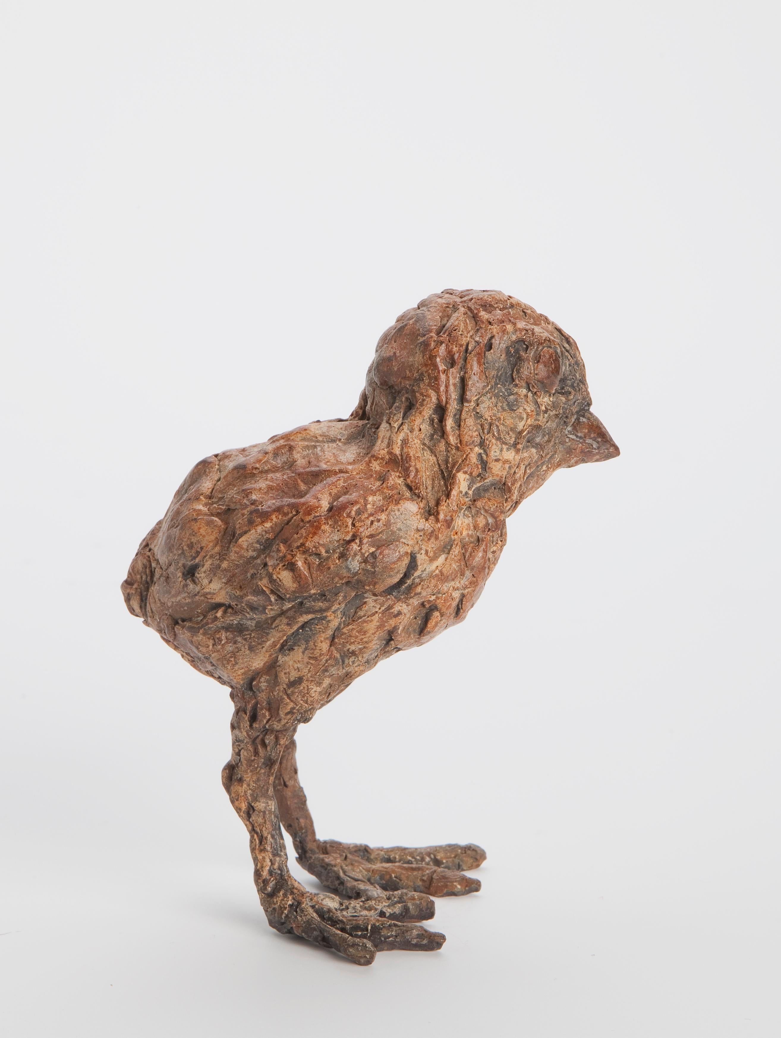 At a time like this, many of us seek comfort in art. Artist Ans Zondag (1959) is also affected by the current circumstances. That is why she created this lovely bronze: ''Comfort Chick''. This beautiful chick is a great example of the vulnerability