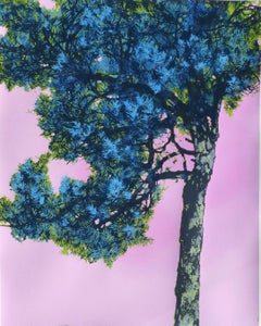 “Pine” Limited Edition Color Print of Nature, A Fairytale Journey