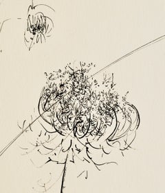 "Queen Anne's Lace" 1966:: Tinte auf Papier