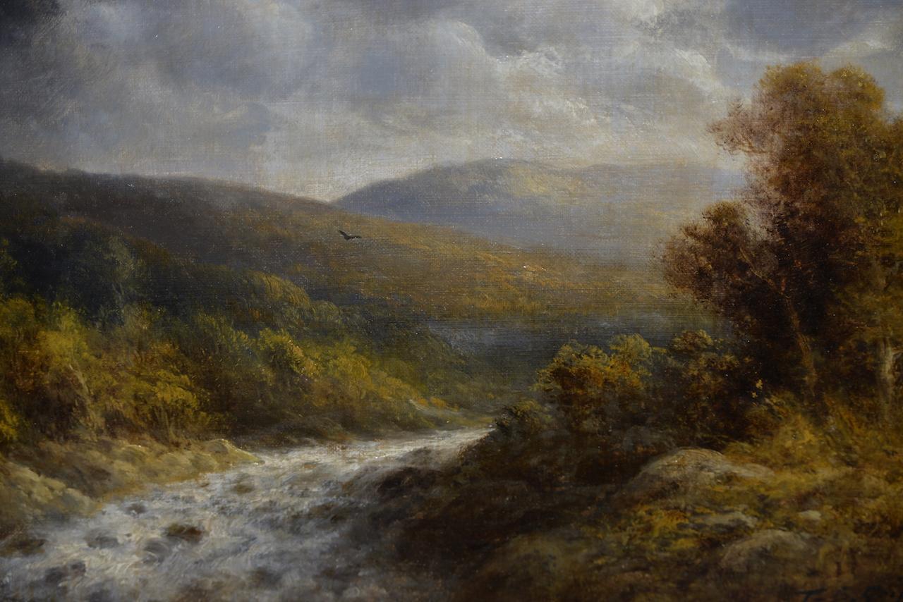 griffin landscape