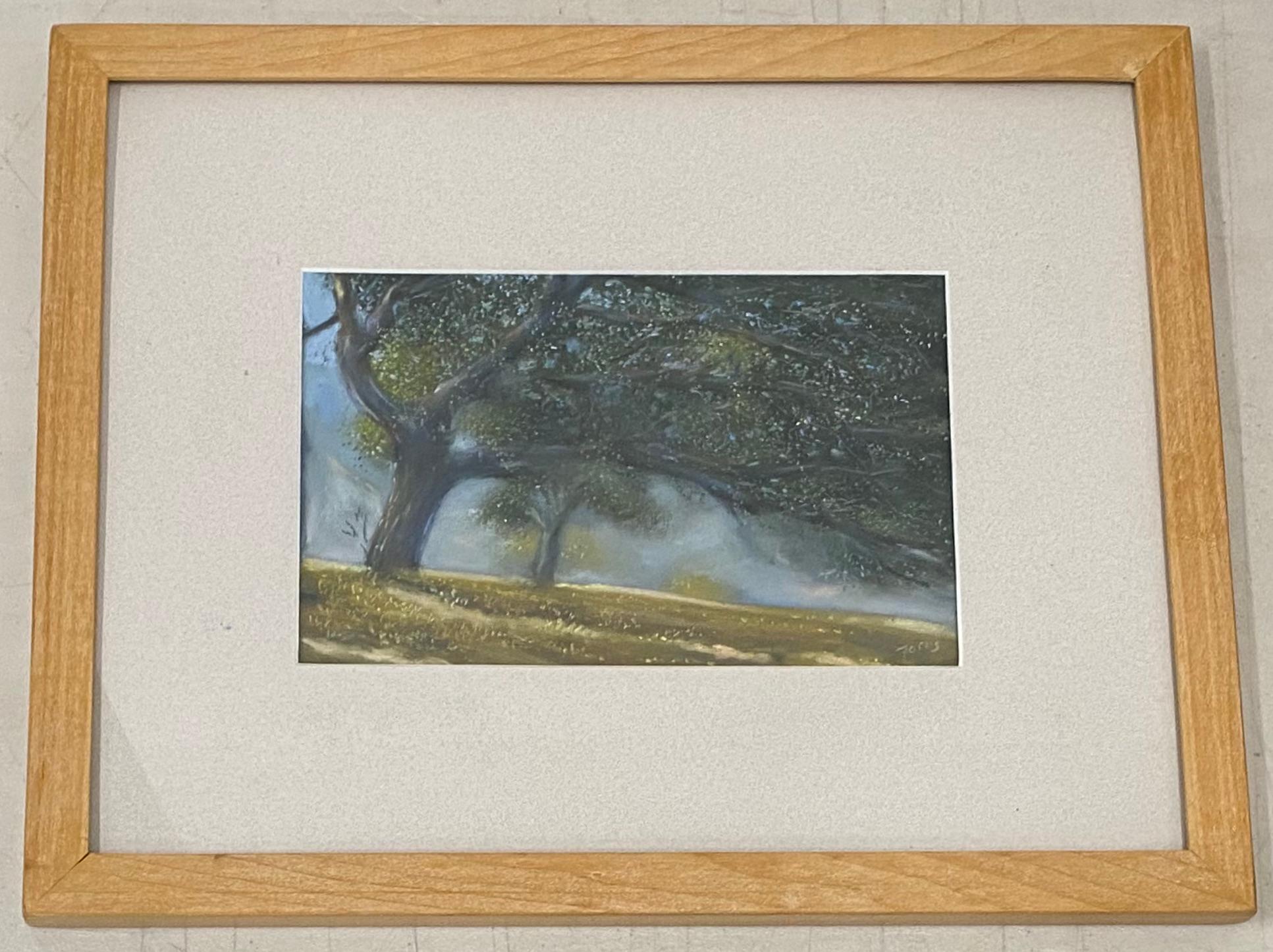 Pastel original Paul Fortis Windswept Trees 