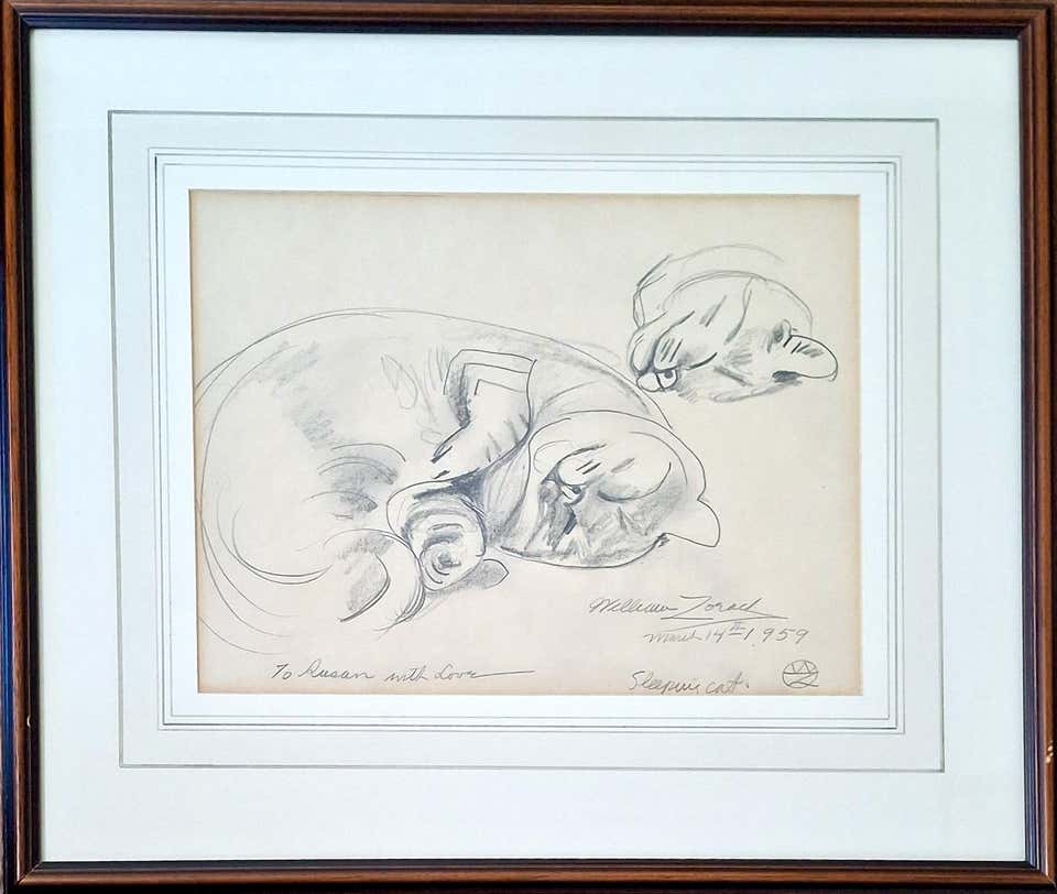 “Sleeping Cat”