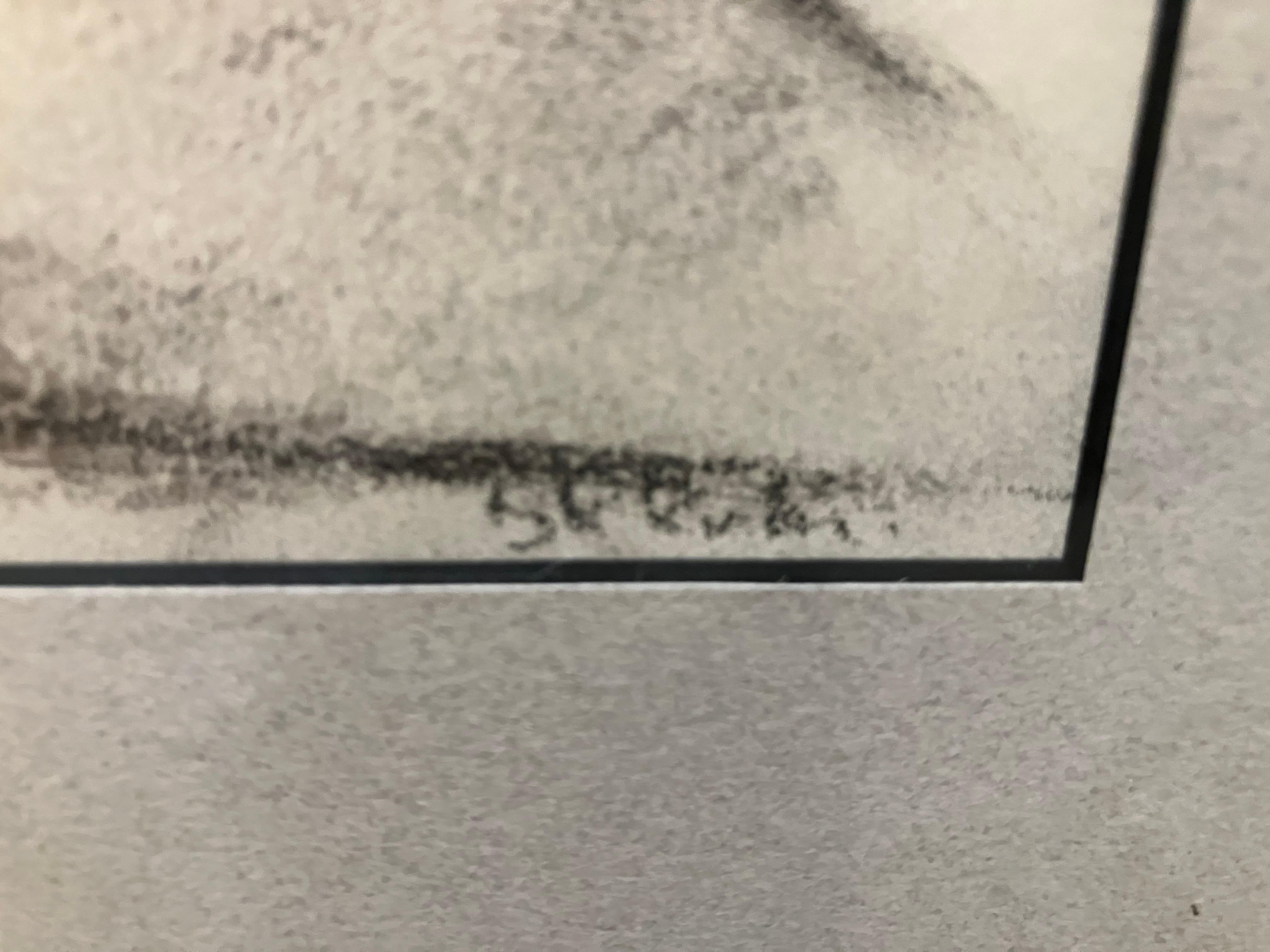 Desnudo misterioso de mediados de siglo. en venta 1