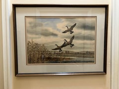 Arthur “Art” Cook Snow Geese Coming In