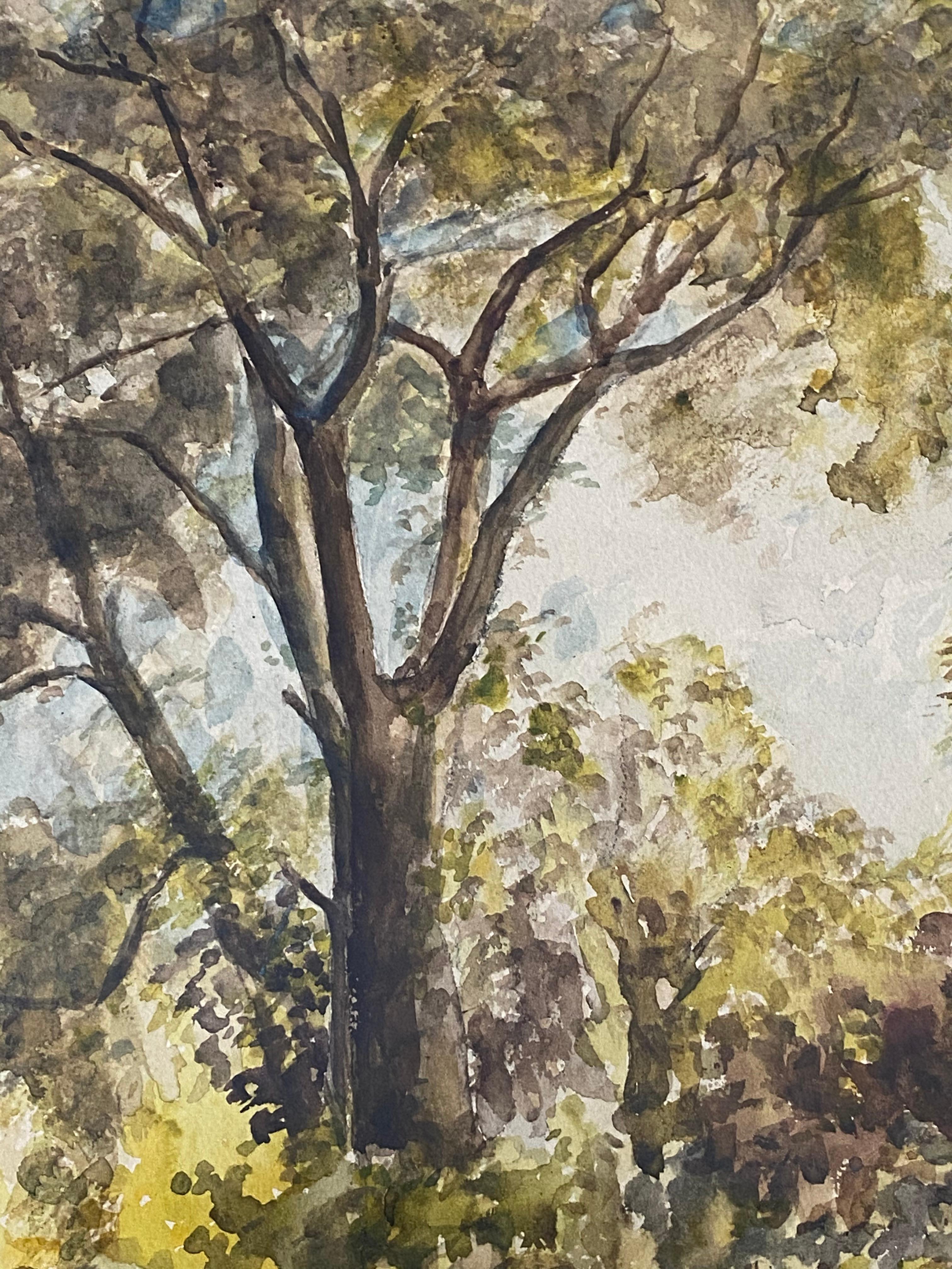 Vintage Watercolor Forested Landscape by Taylor C.1932

Lush forested landscape original watercolor signed 