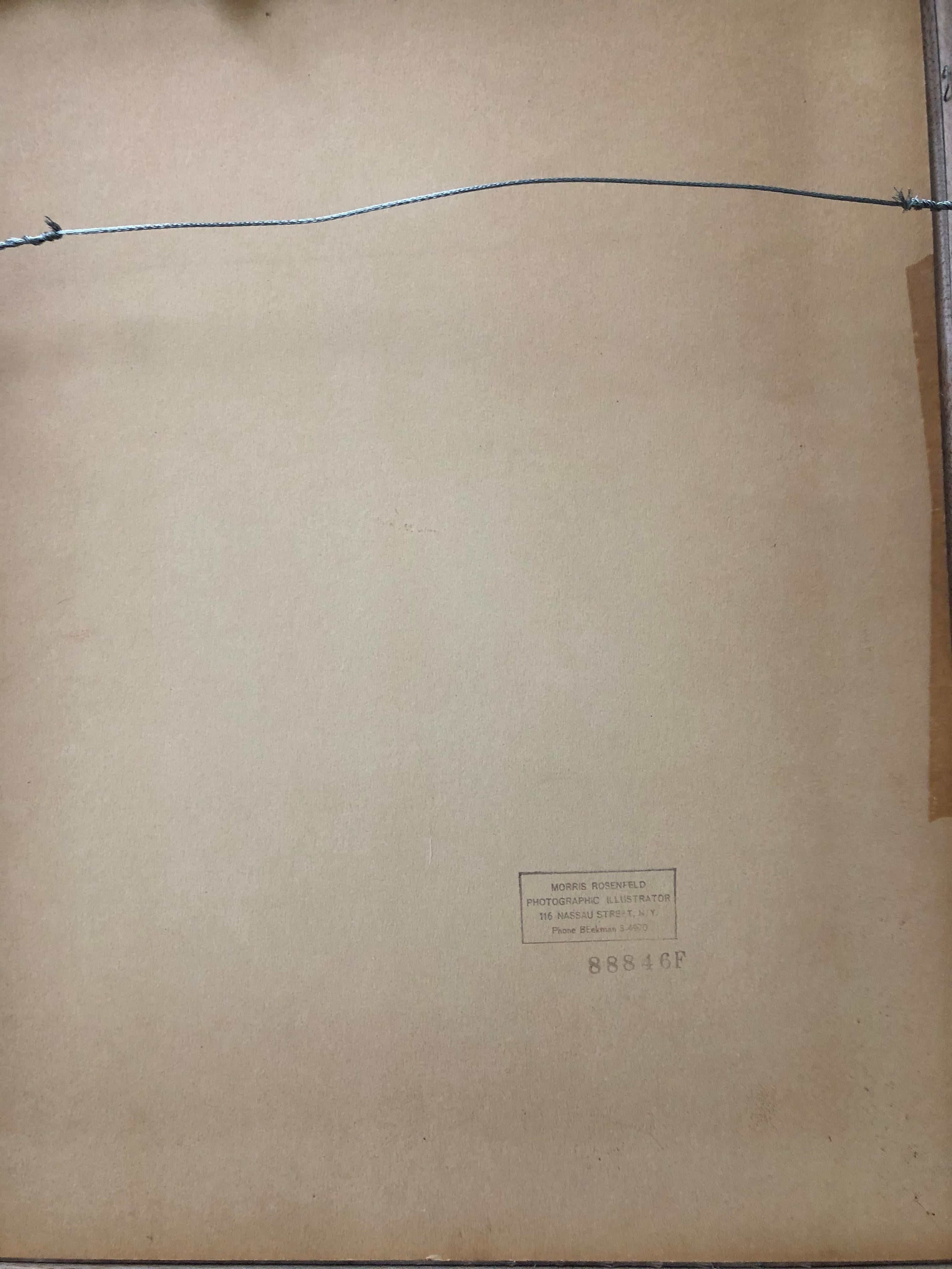 Morris Rosenfeld: 1885-1968. Well listed American photographer. Famous for photos of sail boats, yachts and other seafaring vessels. He has an auction high of $5250 for a single photo. This photo has his name lower right and also a stamp from his