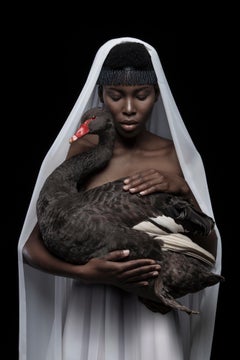 'This is a black swan', photographic gliclée print on 100% cotton fine art paper