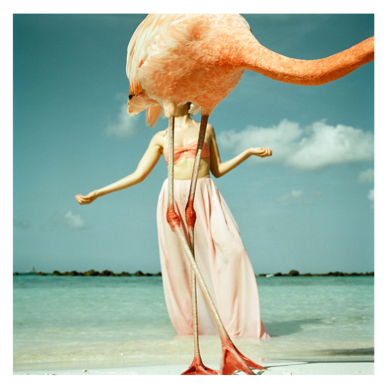 Anya Vandendael Color Photograph - 'Flamingo 2', Colourful fun fashion photographic print